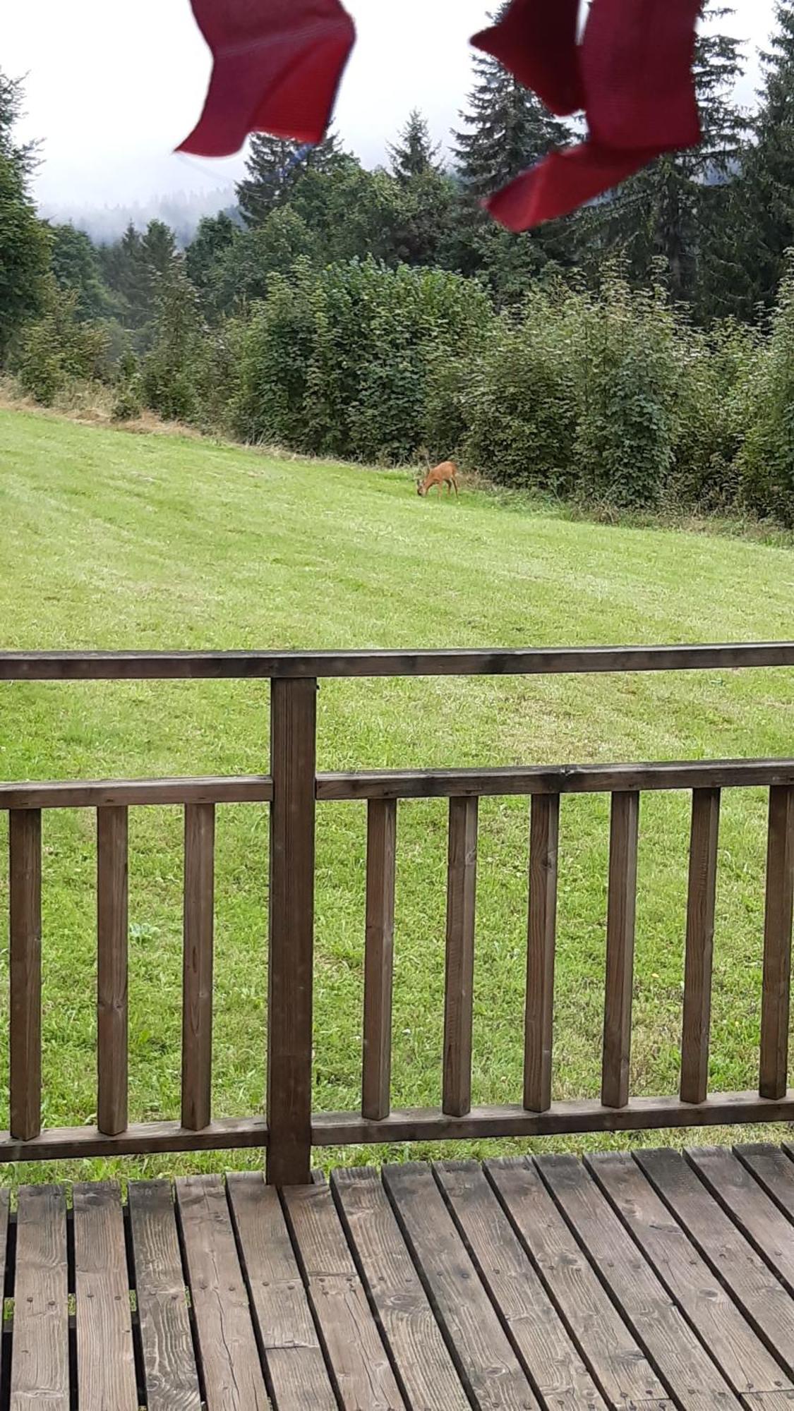 Appartamento Les Angeliques Gérardmer Esterno foto